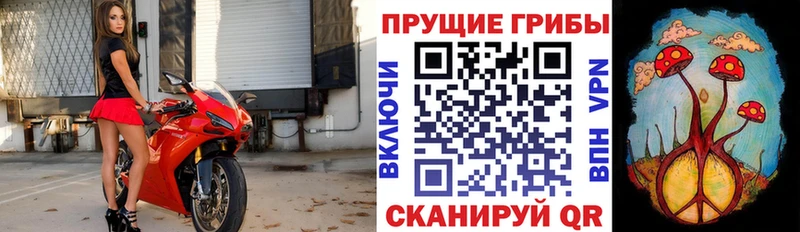 Галлюциногенные грибы MAGIC MUSHROOMS  купить  цена  дарк нет как зайти  Ишимбай 