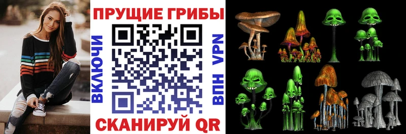 Псилоцибиновые грибы мицелий Ишимбай