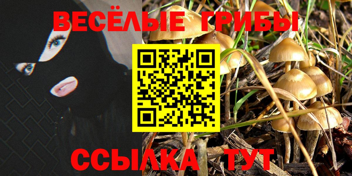 Псилоцибиновые грибы Magic Shrooms  купить наркотик  Ишимбай  Вход с VPN  Галлюциногенные грибы MAGIC MUSHROOMS 