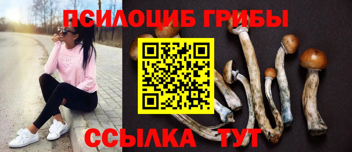 Псилоцибиновые грибы мухоморы Ишимбай