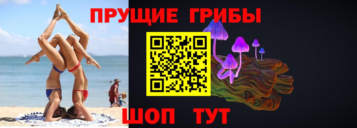 Псилоцибиновые грибы GOLDEN TEACHER  Ишимбай  Псилоцибиновые грибы Psilocybine cubensis 